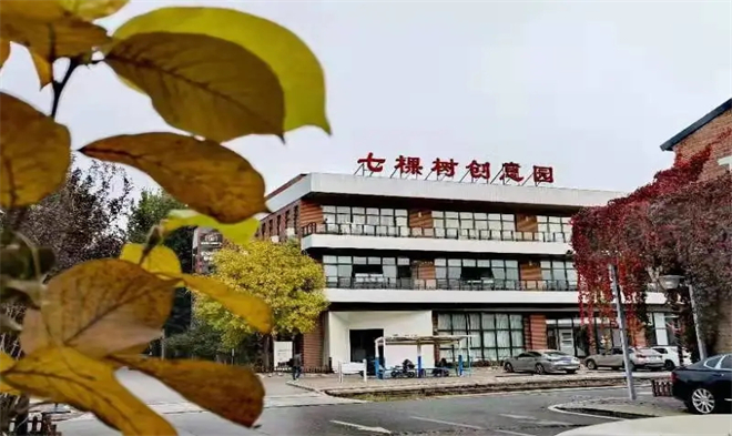七棵树创意园环境图